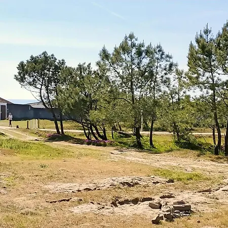 Solario Dos Pinheiros - Pines Solarium Ferienhaus Esposende