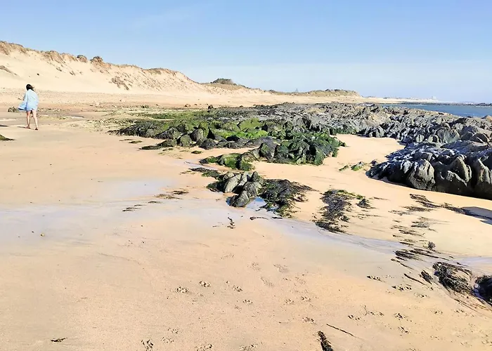 Solario Dos Pinheiros - Pines Solarium Σπίτι διακοπών *