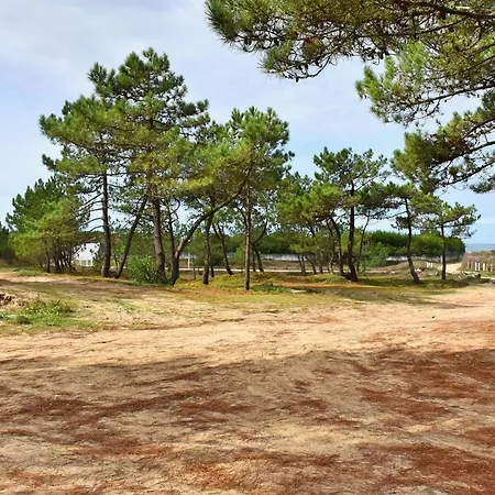 Solario Dos Pinheiros - Pines Solarium *