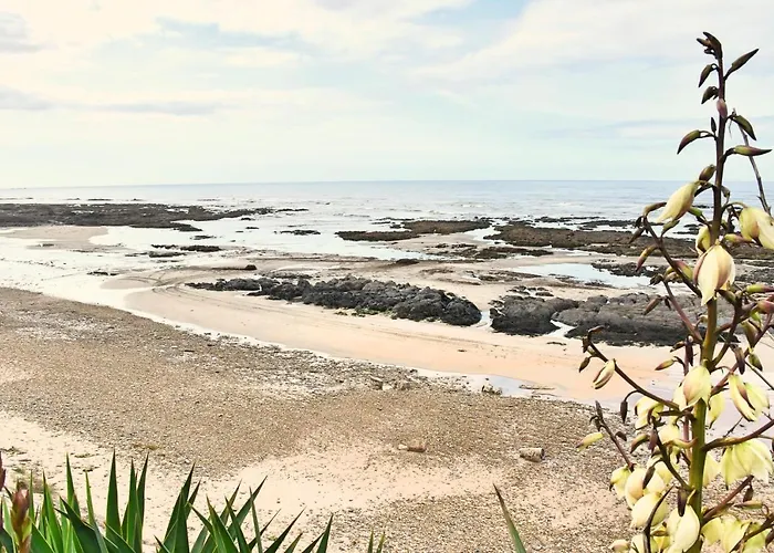 Holiday home Solario Dos Pinheiros - Pines Solarium *