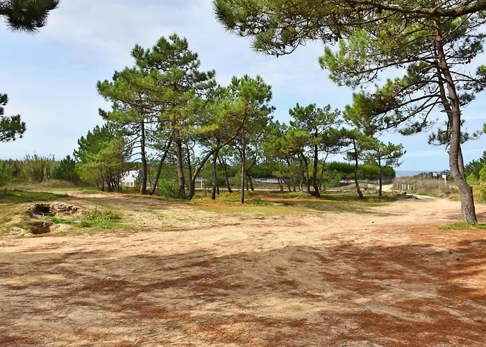 Solario Dos Pinheiros - Pines Solarium *